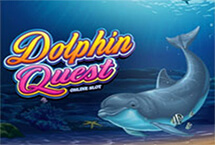 Dolphin Quest